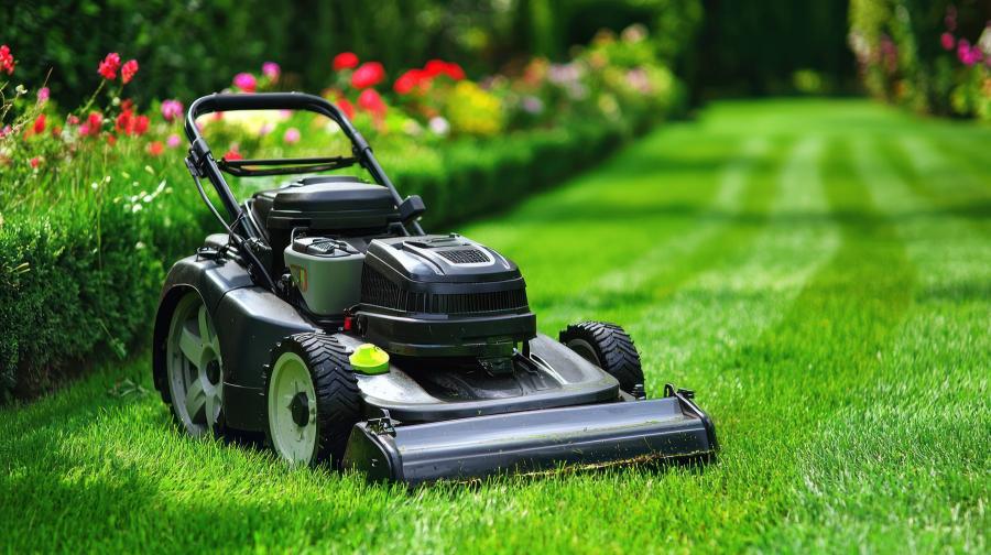 Grasshopper Petrol Mower – P 46 / Forest Green